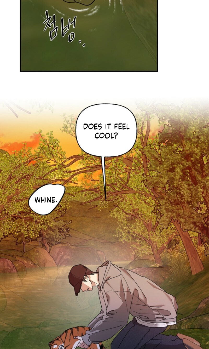 Behold, the Tiger Chapter 37 page 31 - 