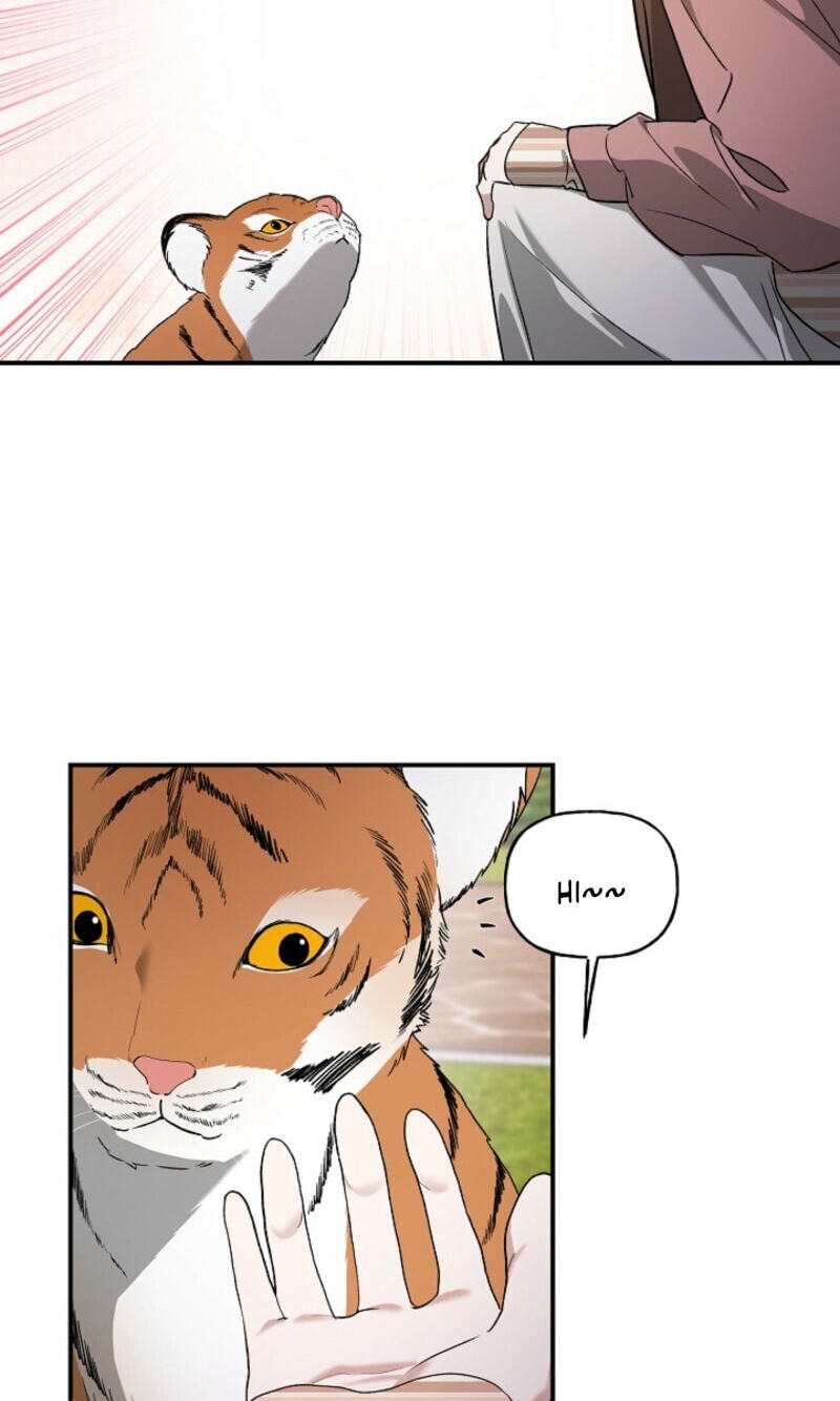 Behold, the Tiger Chapter 37 page 5 - 