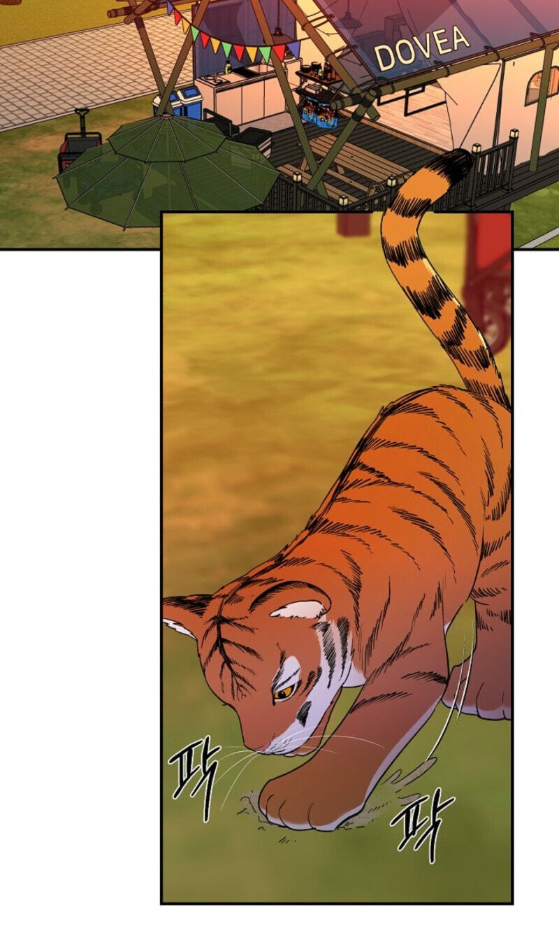 Behold, the Tiger Chapter 37 page 61 - 