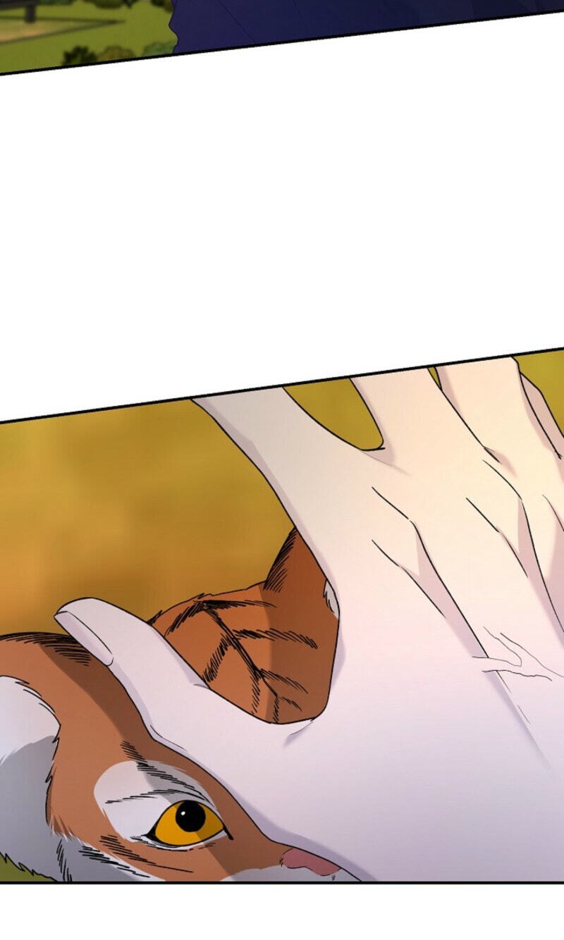 Behold, the Tiger Chapter 37 page 64 - 