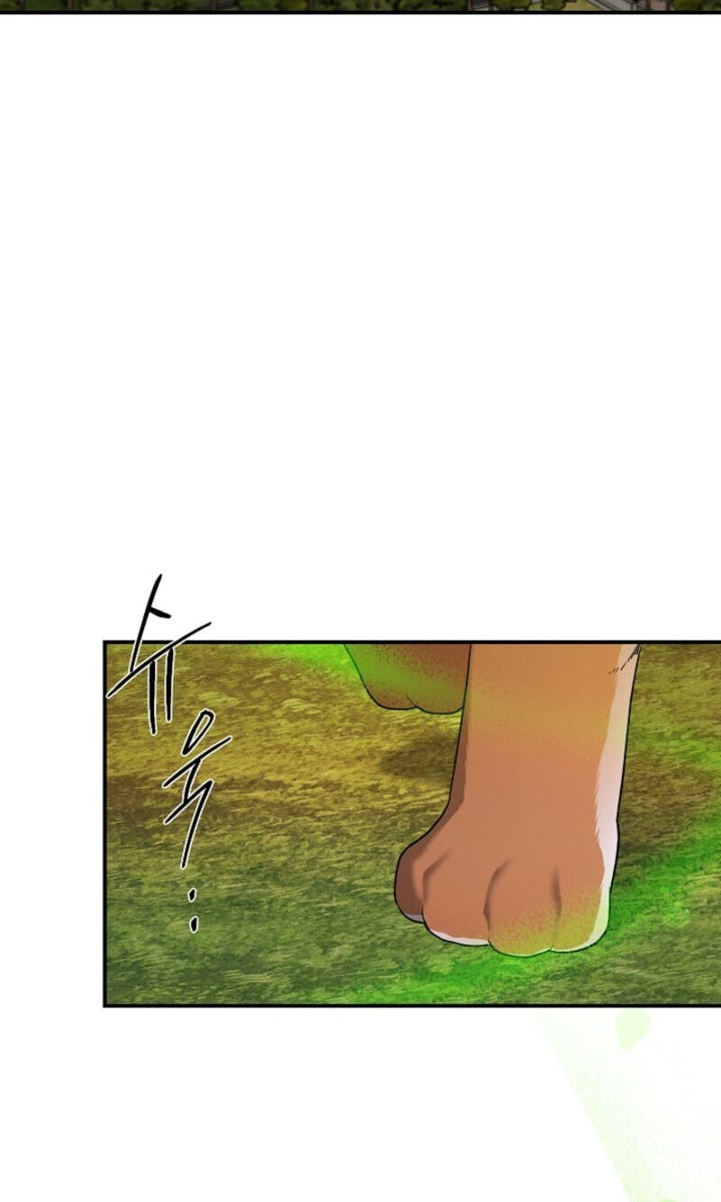 Behold, the Tiger Chapter 38 page 11 - 