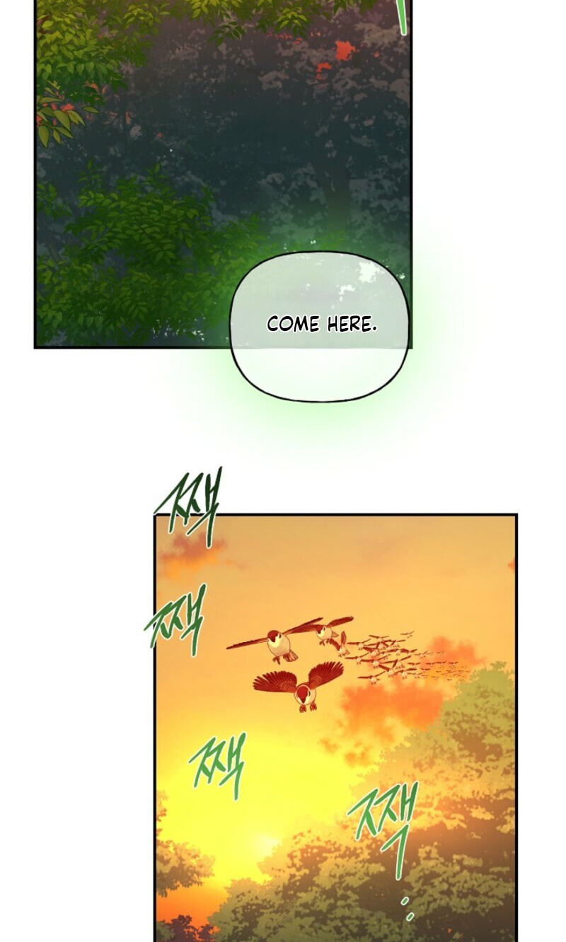 Behold, the Tiger Chapter 39 page 12 - 