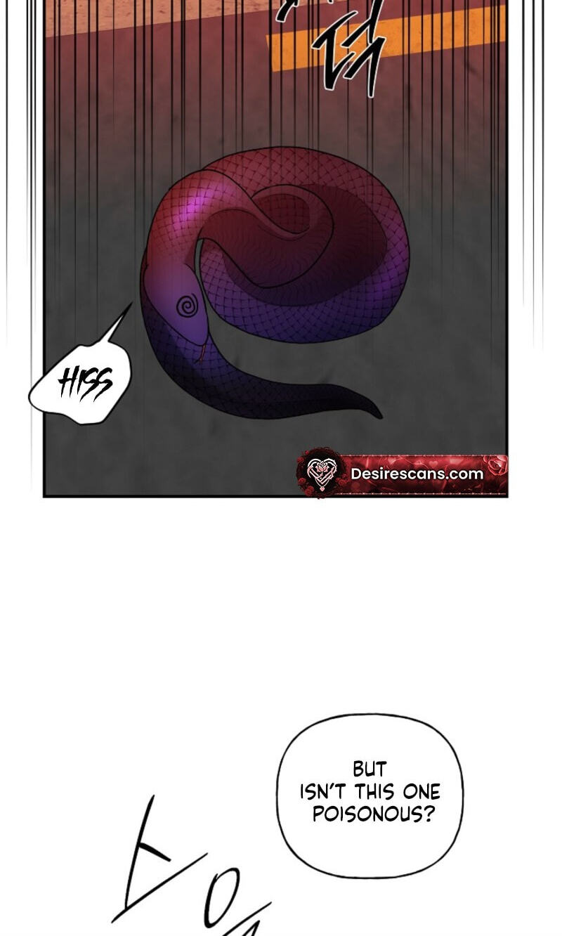 Behold, the Tiger Chapter 40 page 12 - 