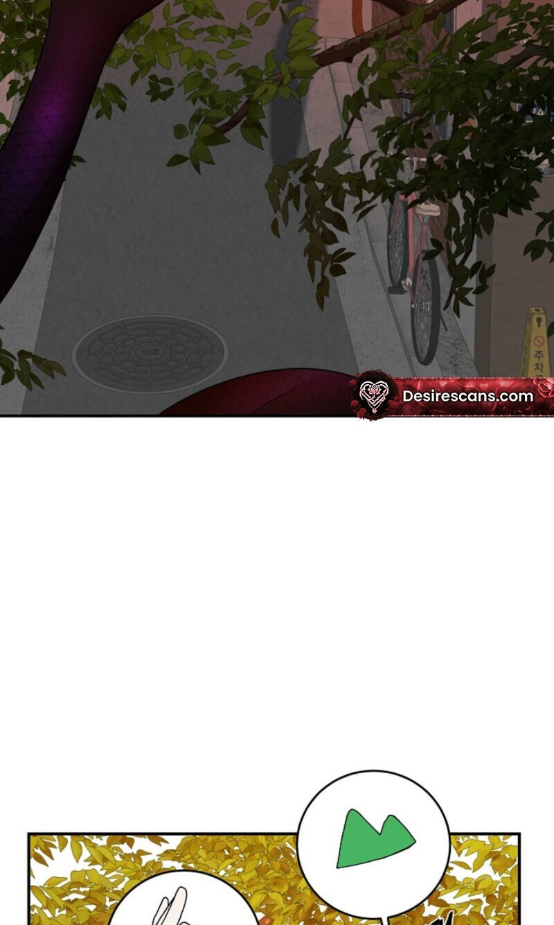 Behold, the Tiger Chapter 40 page 5 - 