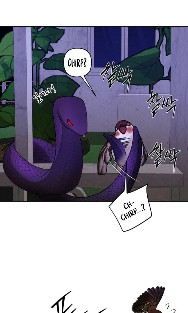 Behold, the Tiger Chapter 41 page 79 - 