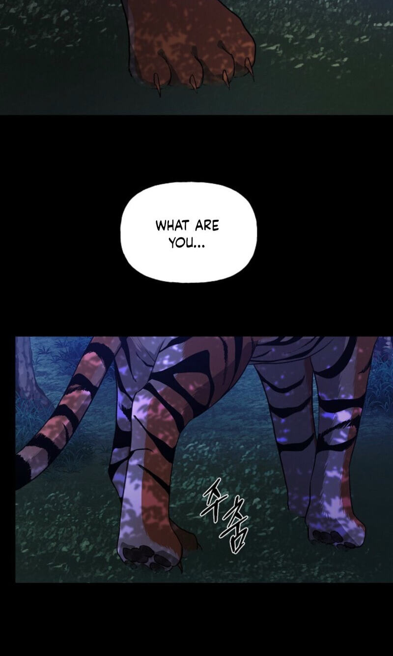 Behold, the Tiger Chapter 43 page 47 - 