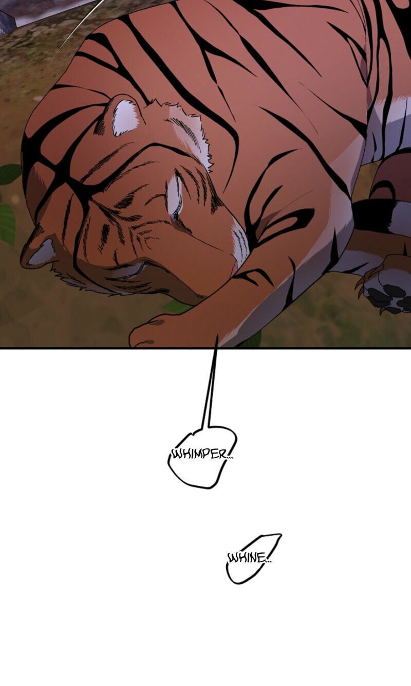 Behold, the Tiger Chapter 43 page 71 - 