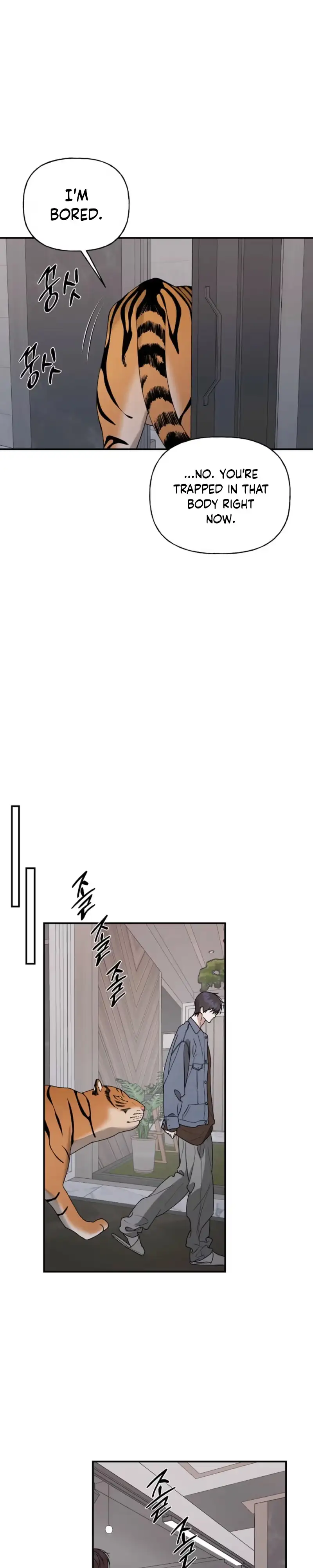 Behold, the Tiger Chapter 51 page 20 - 
