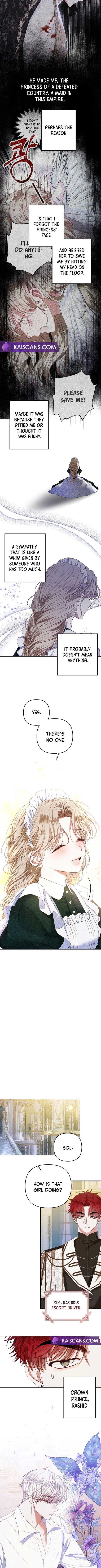 Being a Maid is Better than Being a Princess Chapter 2 page 8 - 