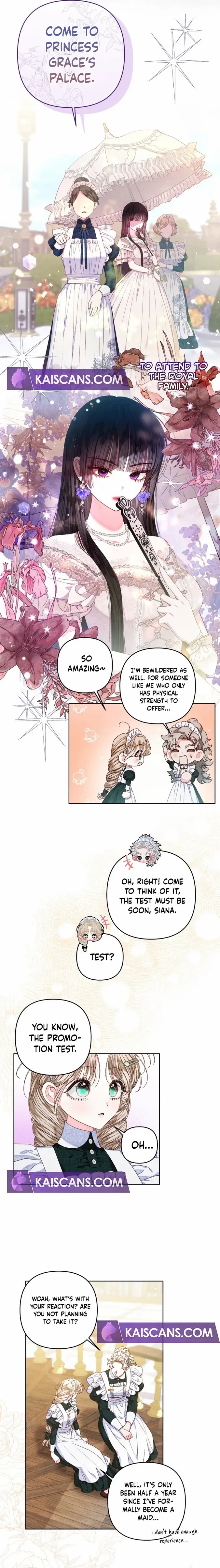Being a Maid is Better than Being a Princess Chapter 25 page 8 - 