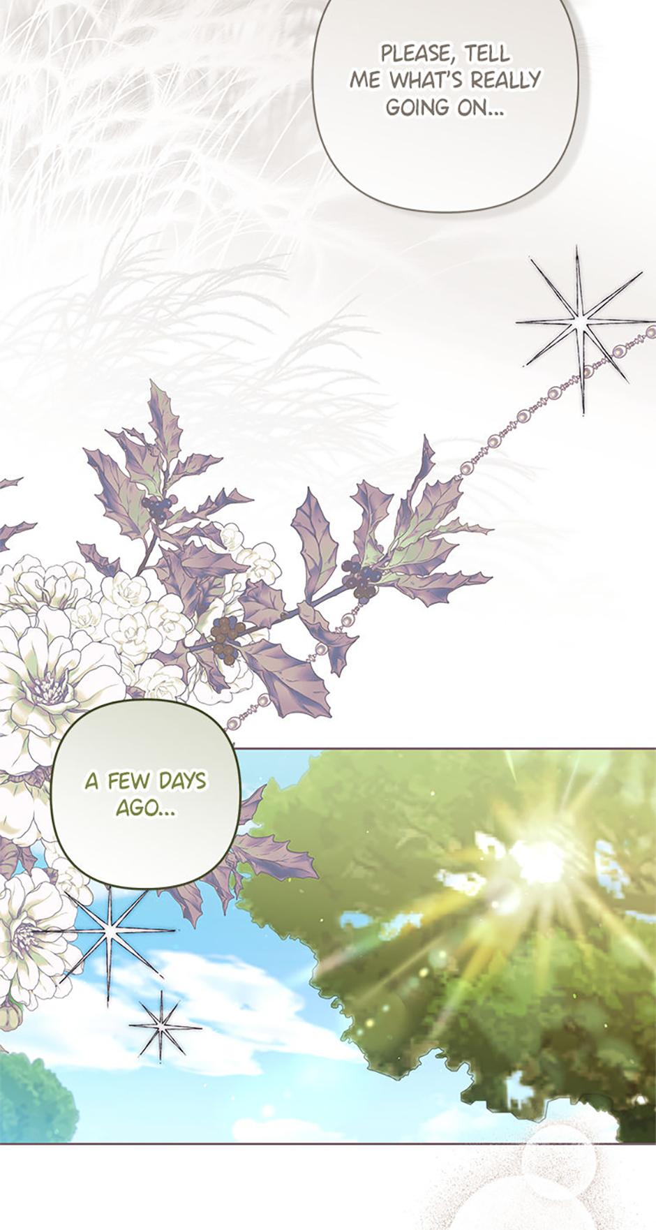 Being a Maid is Better than Being a Princess Chapter 60 page 14 - 