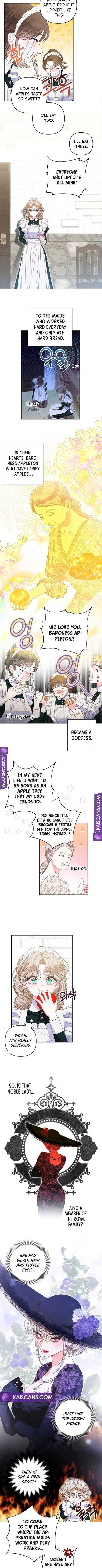 Being a Maid is Better than Being a Princess Chapter 9 page 7 - 