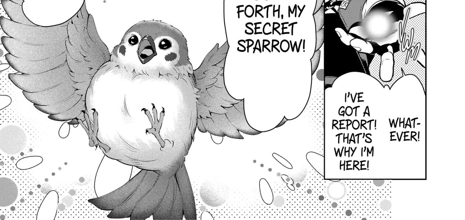 Belle Poupée no Supadari Kon'yaku: 