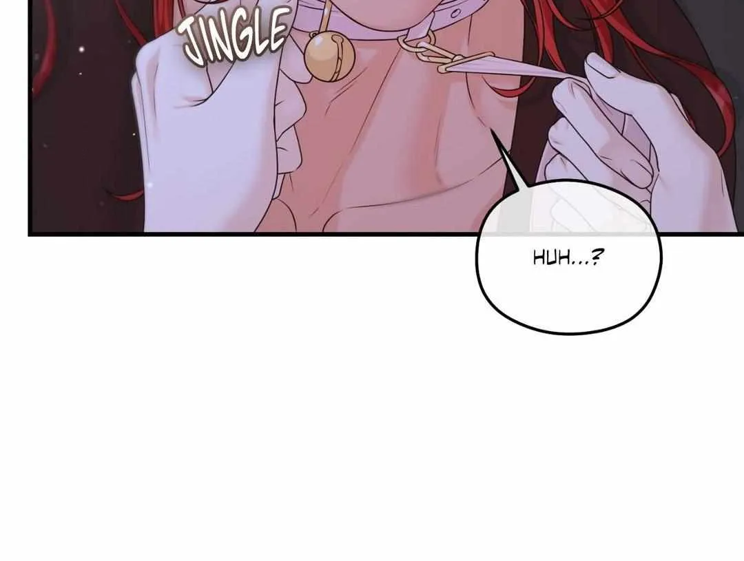 Beta Count So Has Changed Chapter 17 page 78 - 