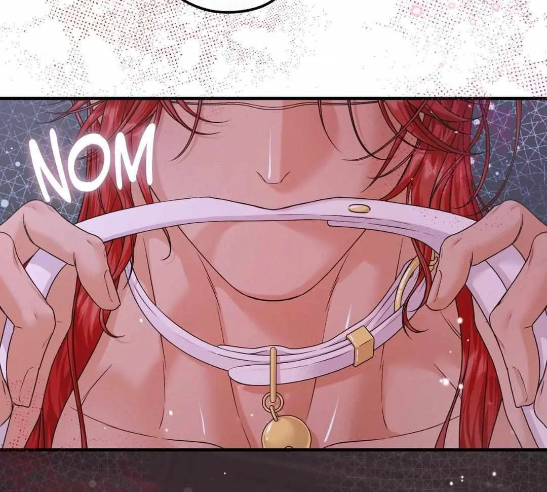 Beta Count So Has Changed Chapter 18 page 22 - 