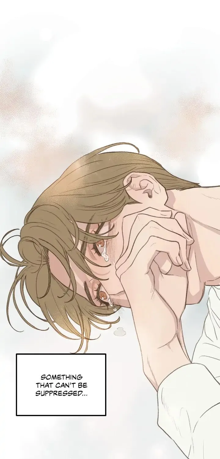 Beta Off Not Dating Chapter 46 page 41 - 