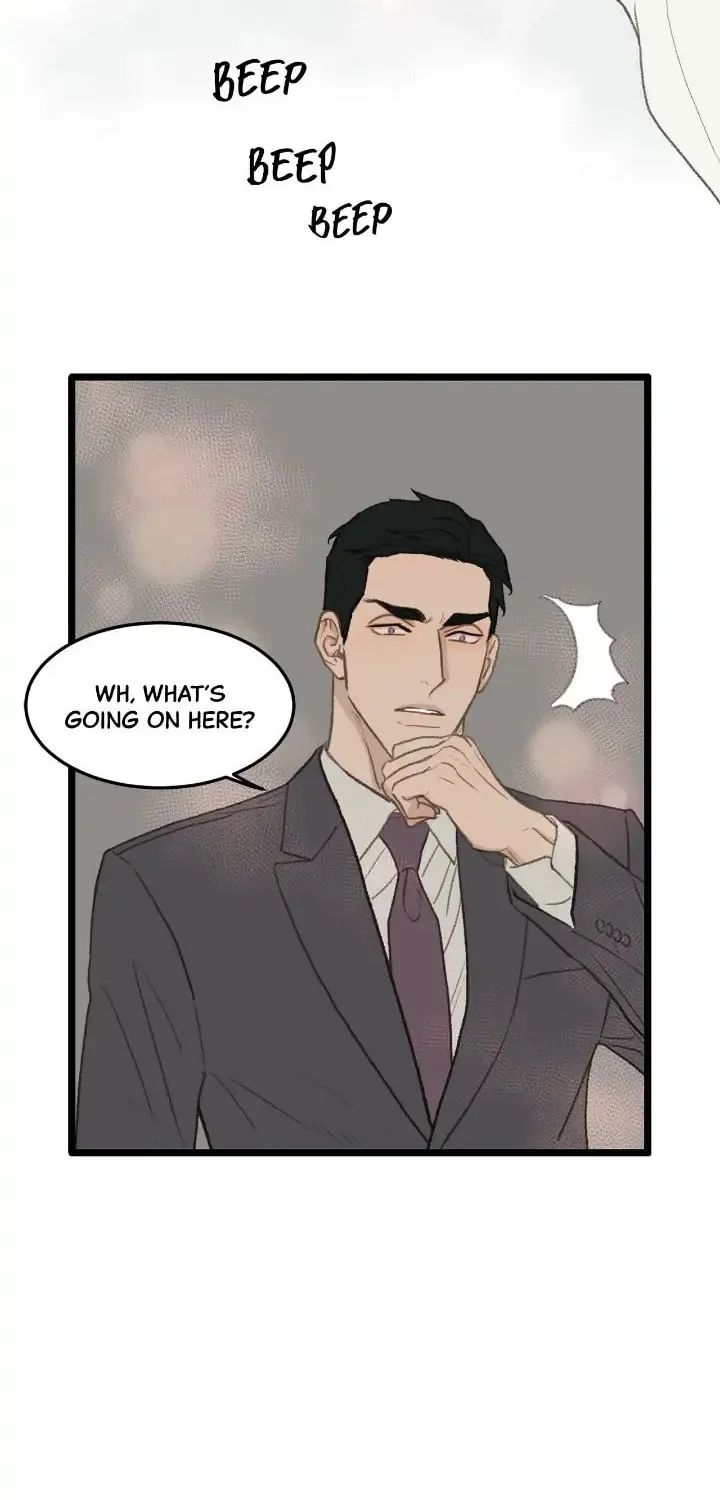 Beta Off Not Dating Chapter 46 page 42 - 
