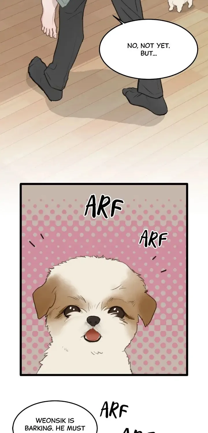 Beta Off Not Dating Chapter 49 page 23 - 