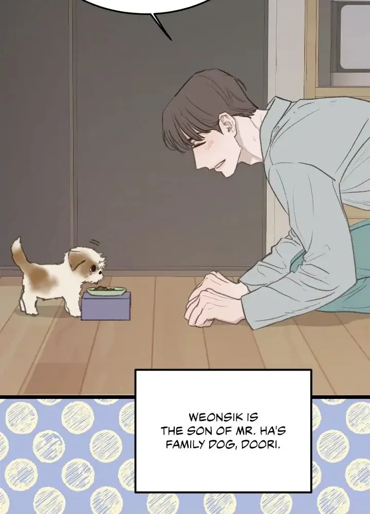 Beta Off Not Dating Chapter 49 page 4 - 
