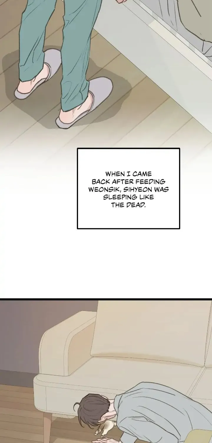 Beta Off Not Dating Chapter 49 page 36 - 