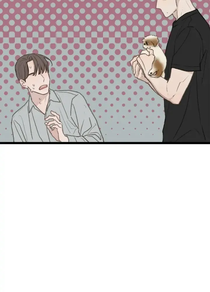 Beta Off Not Dating Chapter 49 page 53 - 