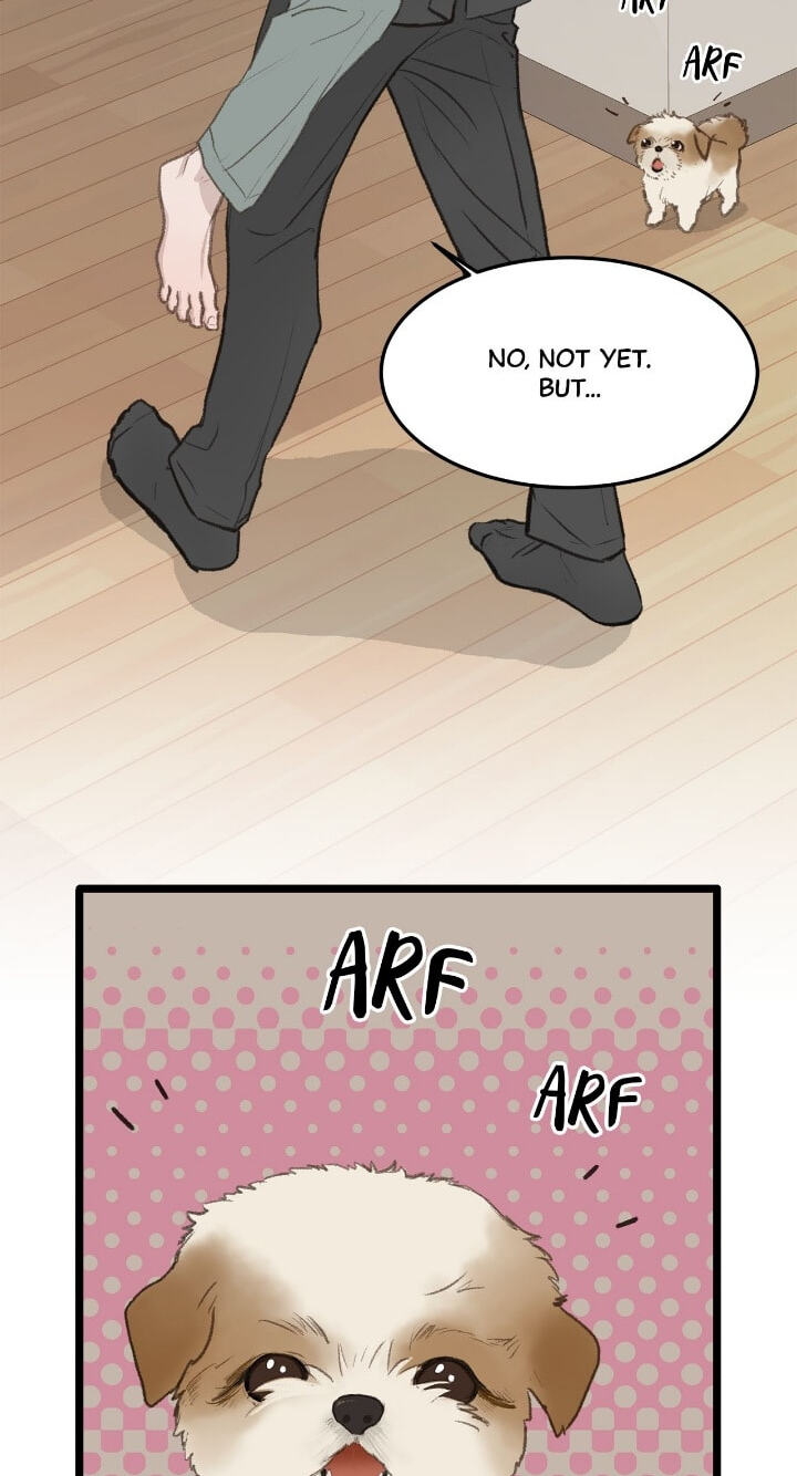 Beta Off Not Dating Chapter 49 page 17 - 
