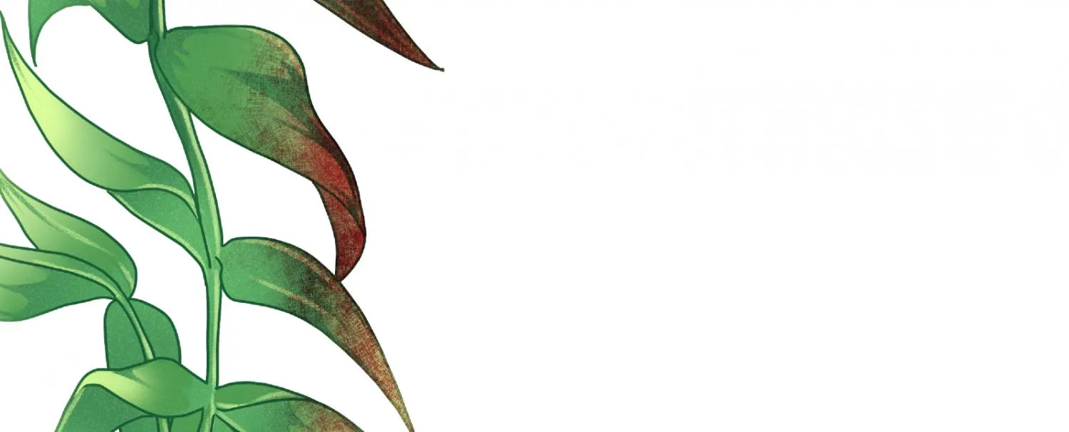 Beyond the Headlines Chapter 13 page 147 - 