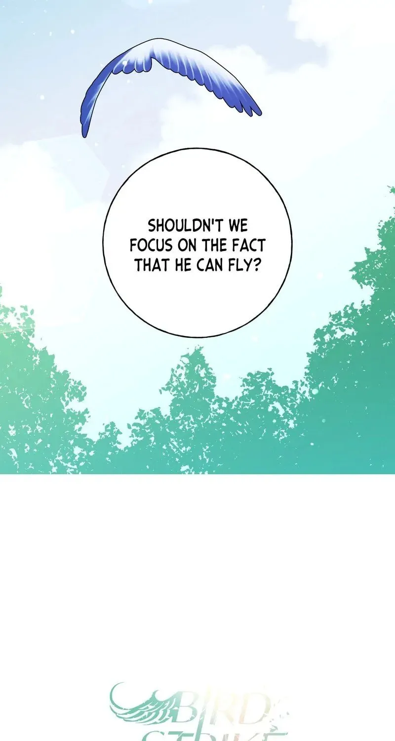 Bird Strike Chapter 21 page 80 - 