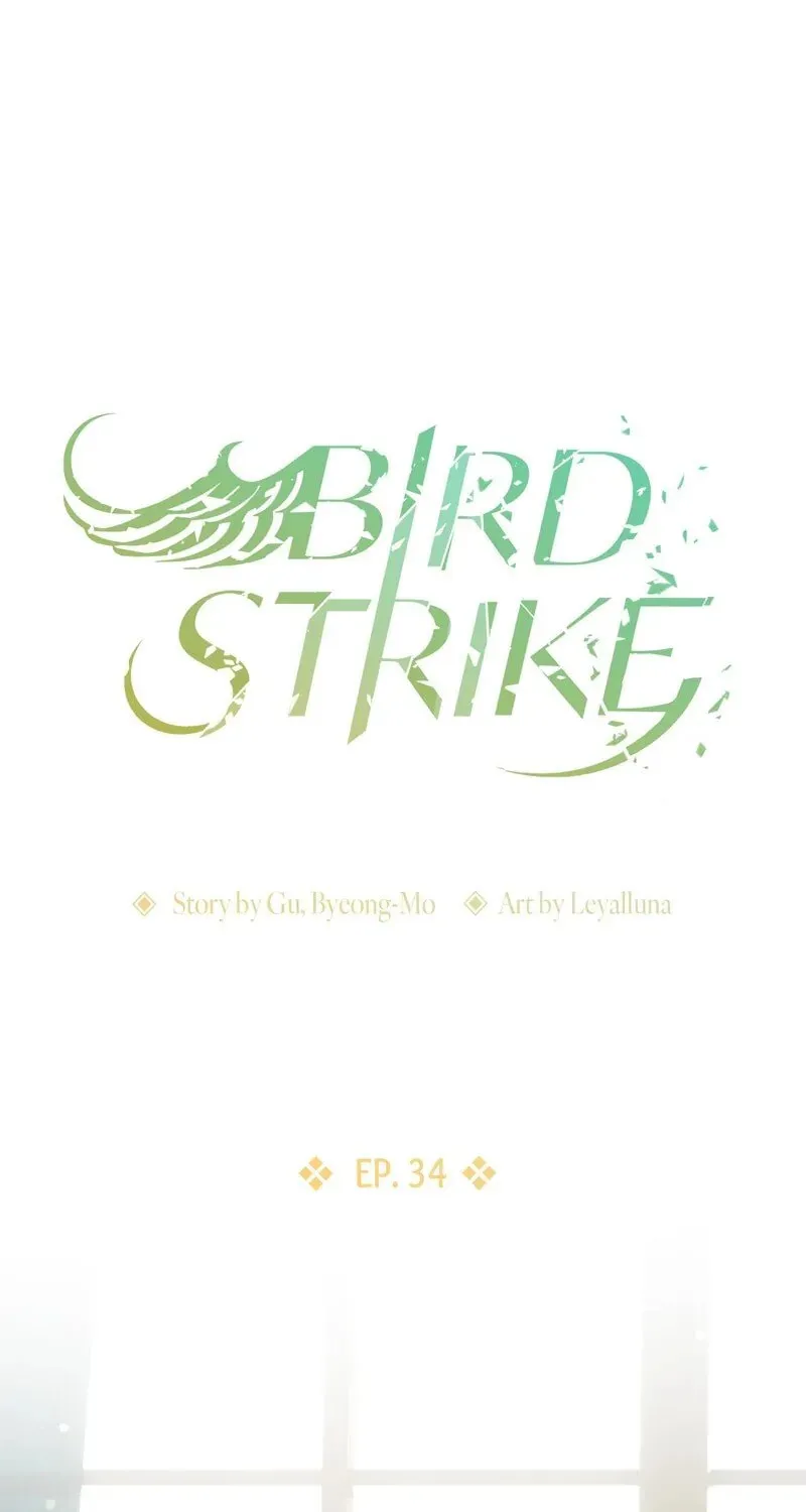 Bird Strike Chapter 34 page 1 - 