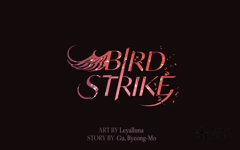 Bird Strike Chapter 35 page 80 - 