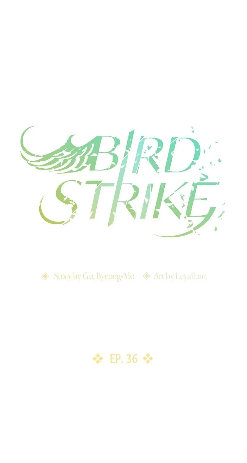 Bird Strike Chapter 36 page 1 - 