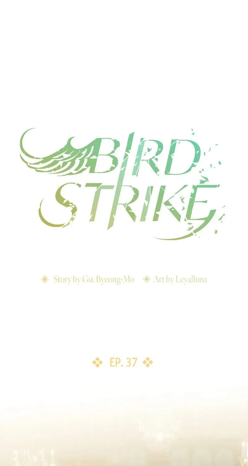 Bird Strike Chapter 37 page 1 - 