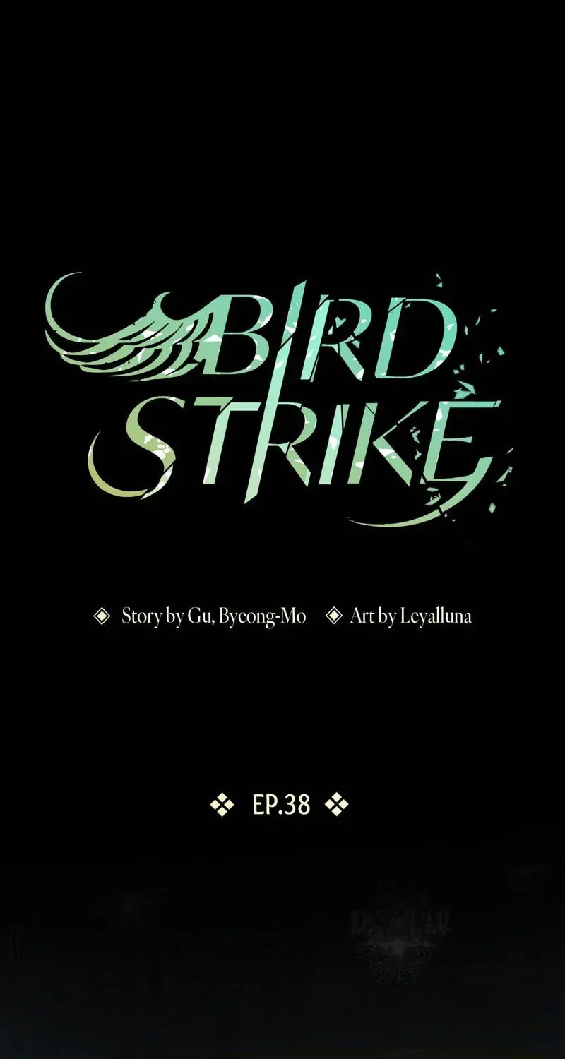 Bird Strike Chapter 38 page 1 - 