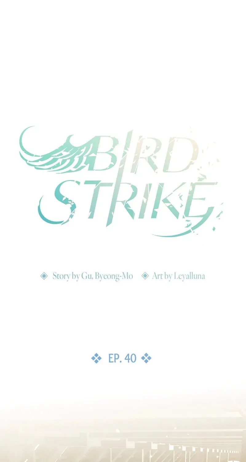 Bird Strike Chapter 40 page 1 - 