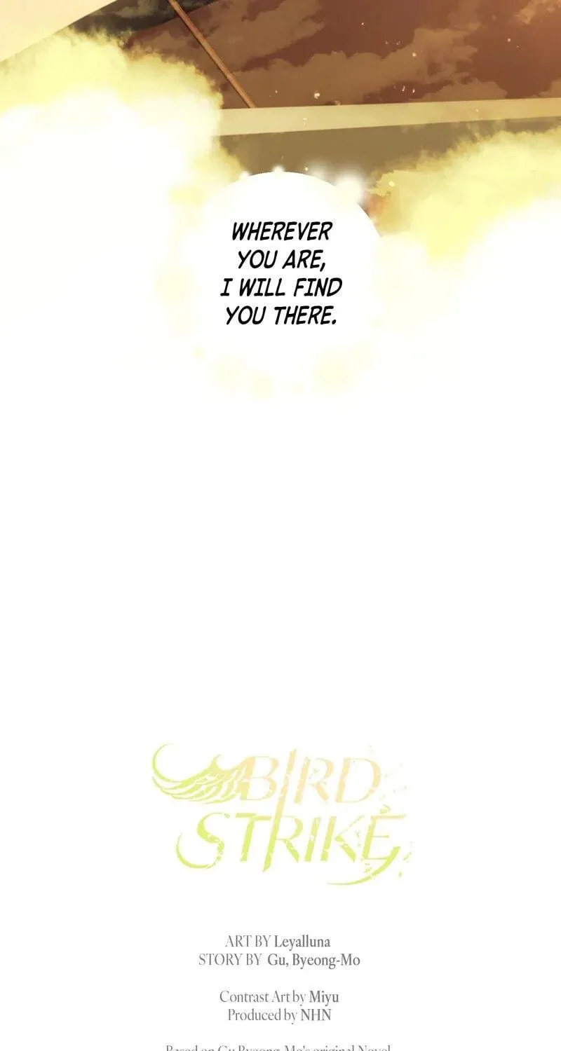Bird Strike Chapter 41 page 96 - 