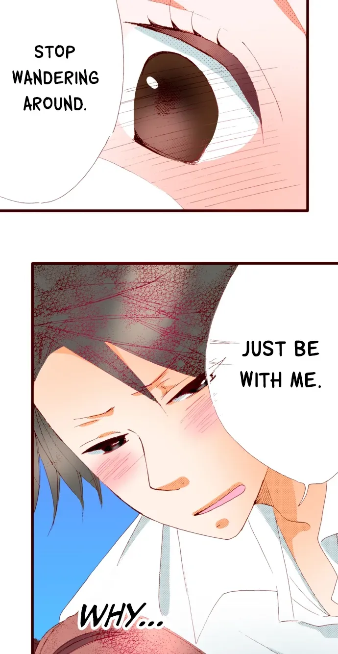  Chapter 20 page 41 - 