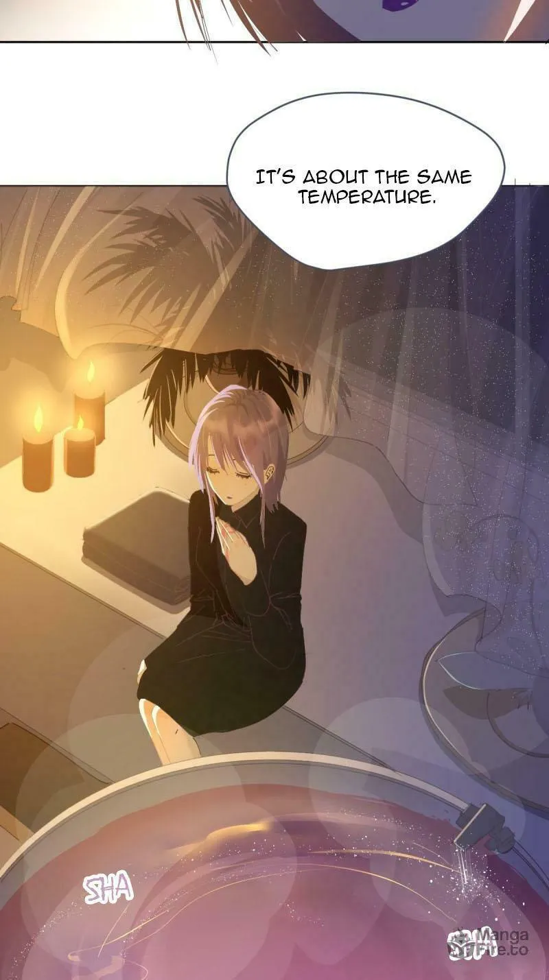 Black-Backed Albatross Chapter 41 page 3 - 
