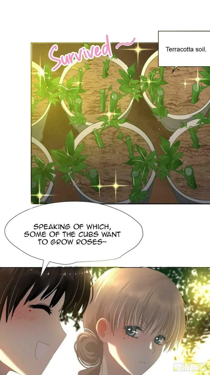 Black-Backed Albatross Chapter 49 page 14 - 