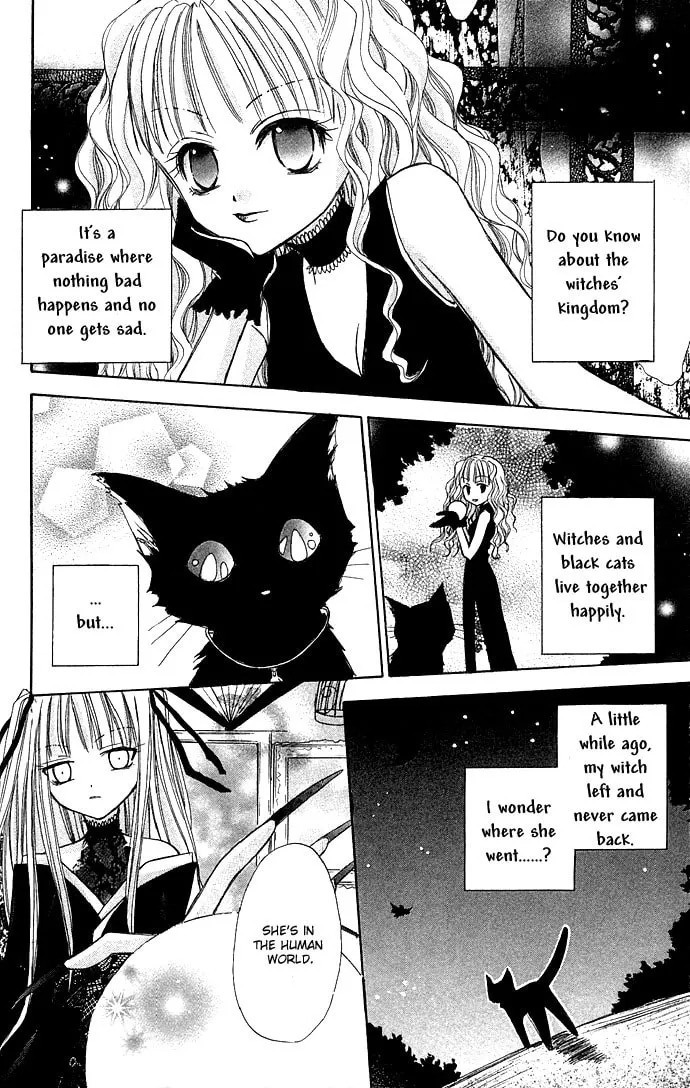 Black Cat's Love Suite Chapter 1 page 7 - 