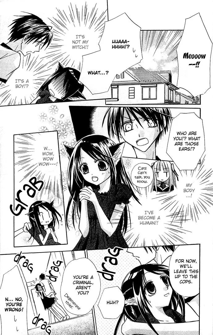 Black Cat's Love Suite Chapter 1 page 10 - 