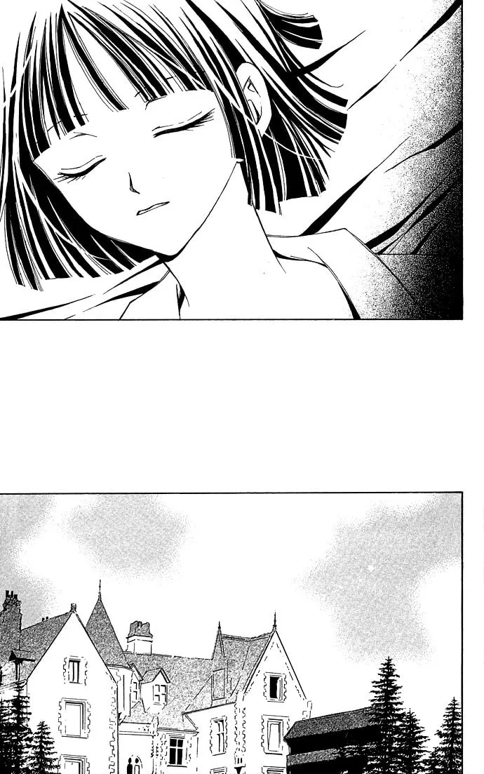 Black Cat's Love Suite Chapter 4 page 31 - 