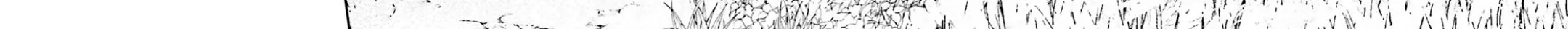 Black Kanojo Chapter 19 page 33 - 