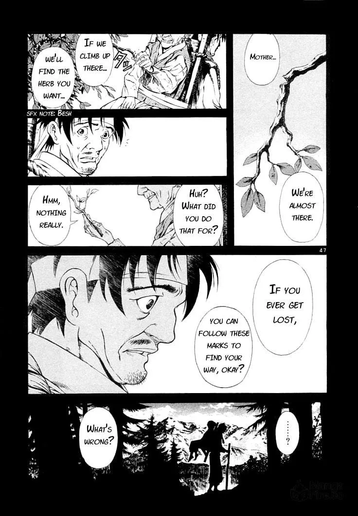 Blade of the Phantom Master Chapter 2 page 45 - 