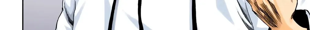 Bleach (Colored) Chapter 245 page 22 - 