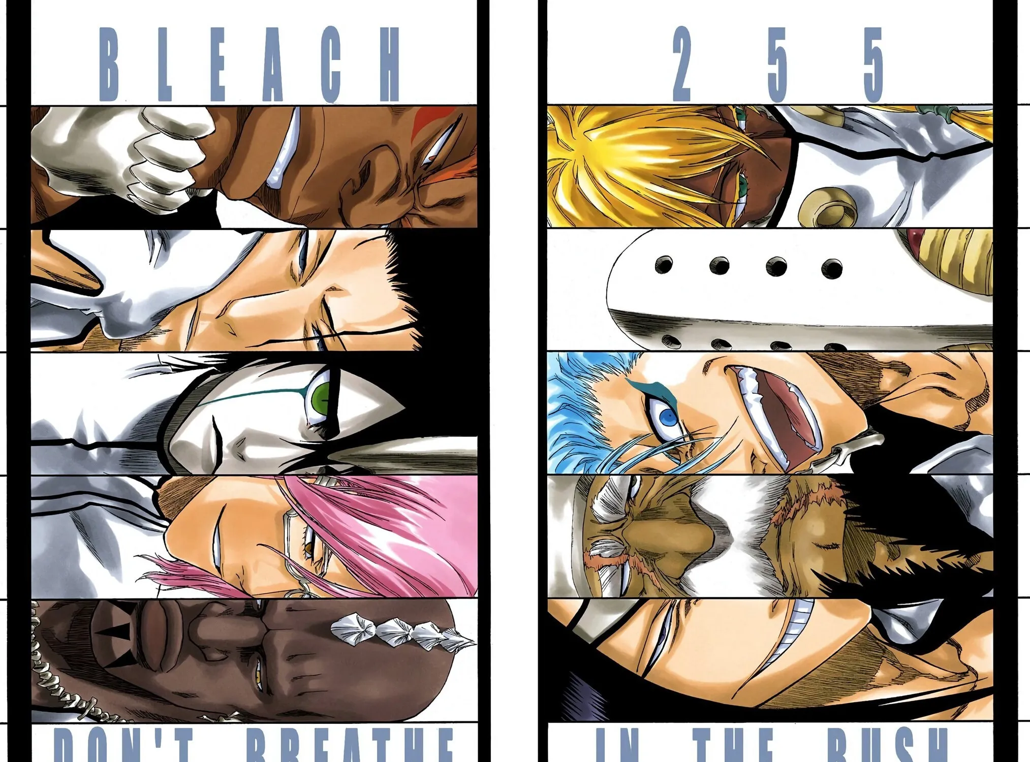 Bleach (Colored) Chapter 255 page 3 - 