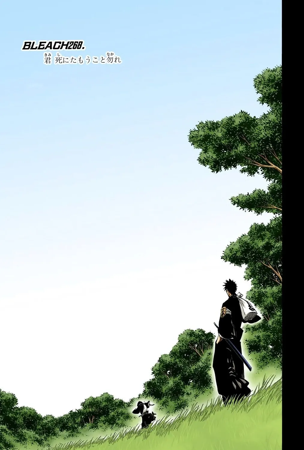 Bleach (Colored) Chapter 268 page 9 - 