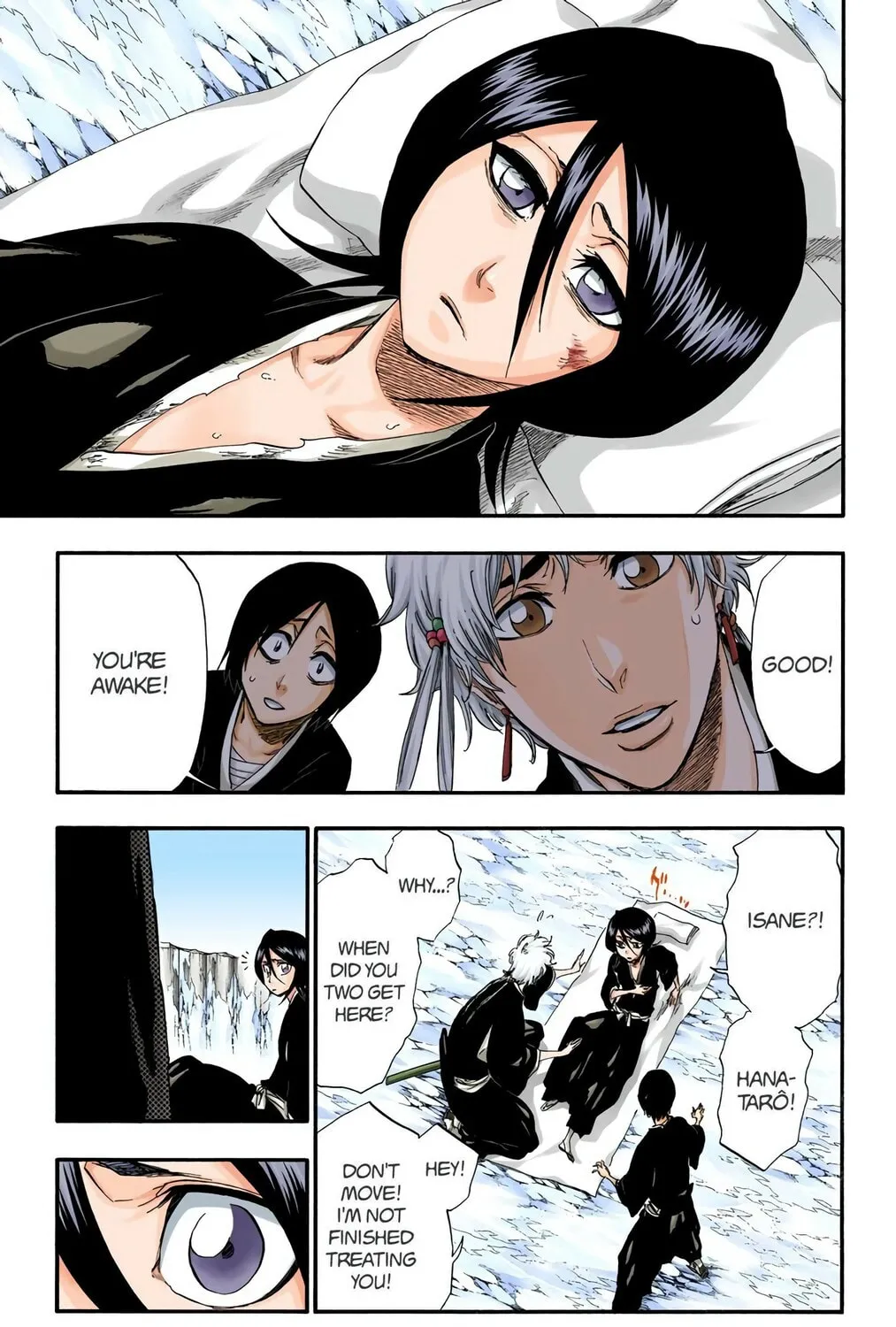 Bleach (Colored) Chapter 304 page 5 - 