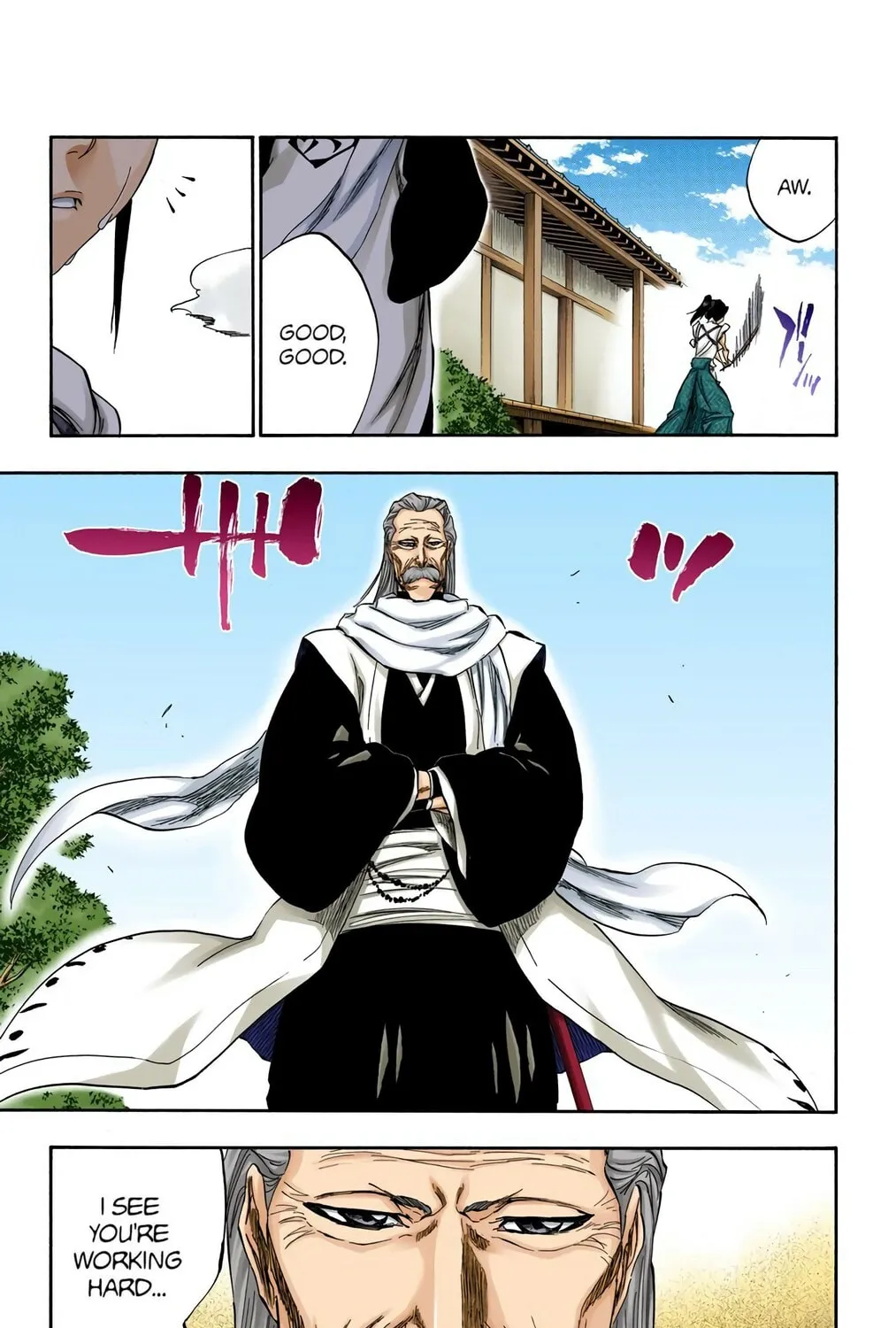 Bleach (Colored) Chapter 315.0 page 17 - 