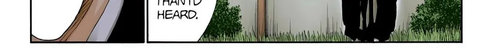 Bleach (Colored) Chapter 315.0 page 34 - 