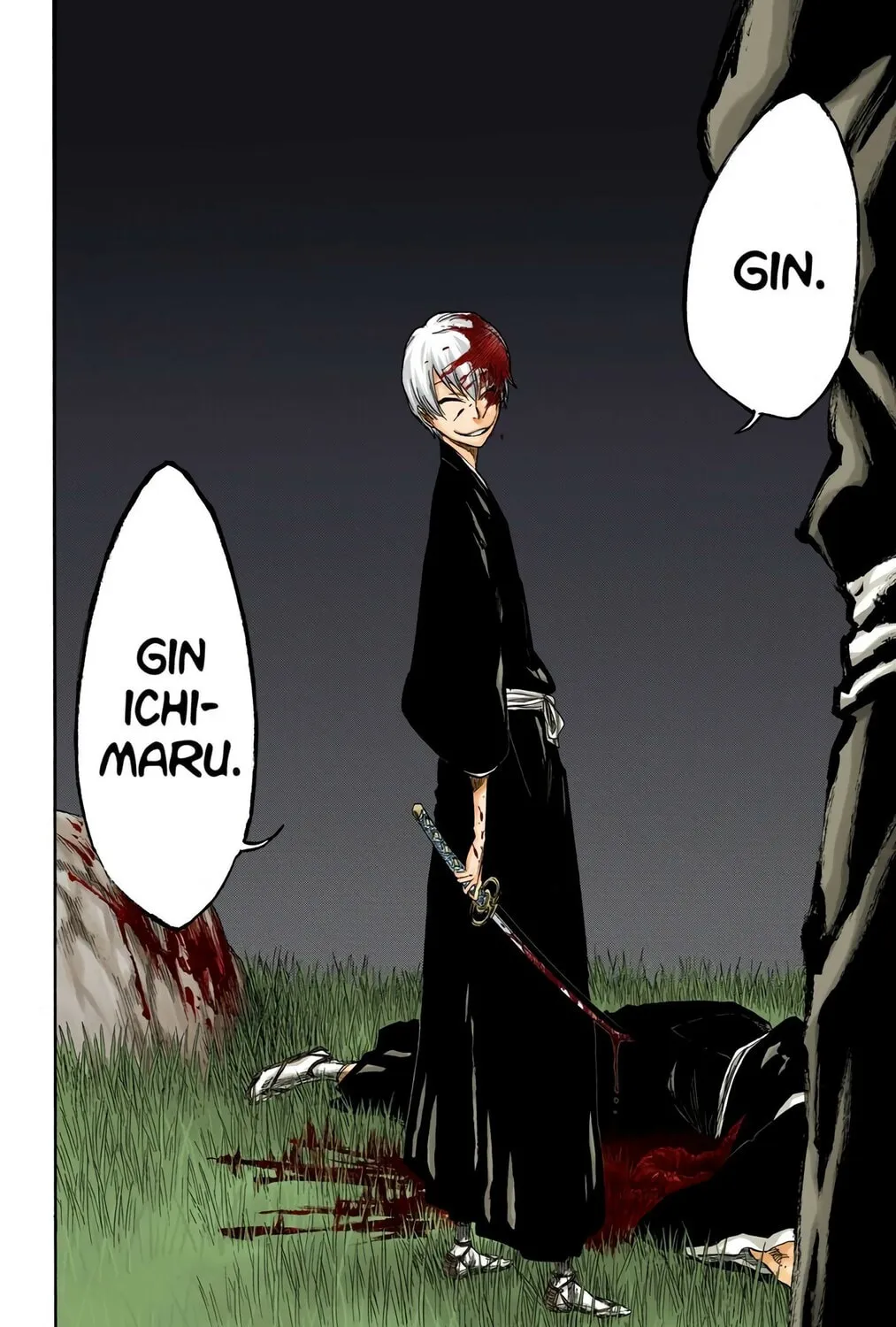 Bleach (Colored) Chapter 315.0 page 35 - 